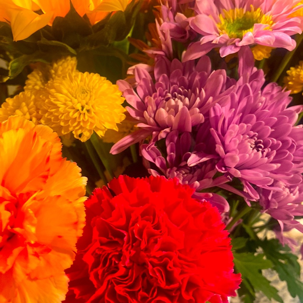 Meet your Posher, April